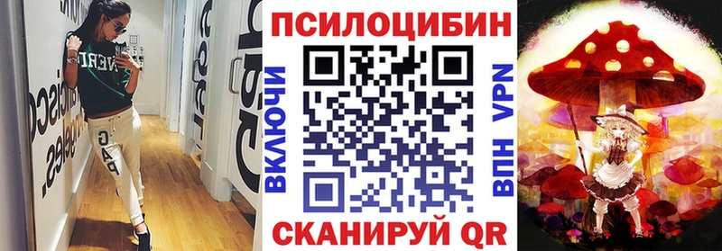 где купить   Аткарск  Псилоцибиновые грибы Psilocybe 